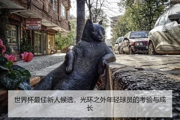 世界杯最佳新人候选，光环之外年轻球员的考验与成长